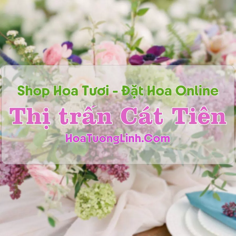 Shop Hoa Tươi TT Cát Tiên – Lâm Đồng