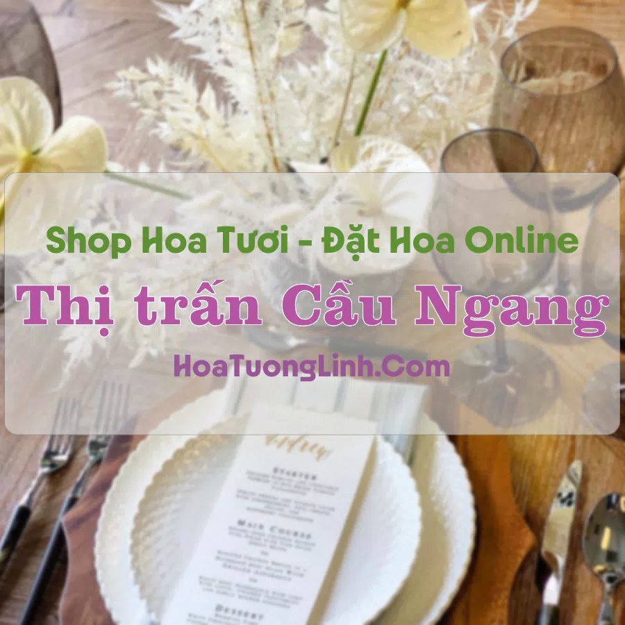 Shop Hoa Tươi Thị trấn Cầu Ngang – Trà Vinh