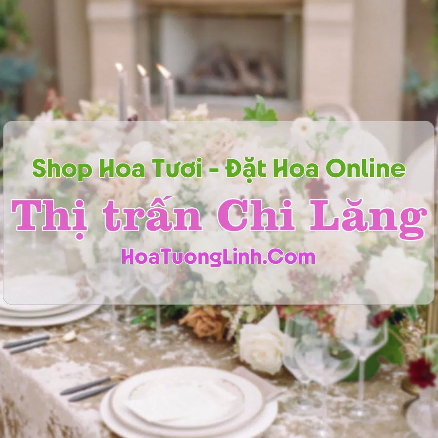 Shop Hoa Tươi Thị Trấn Chi Lăng – Lạng Sơn