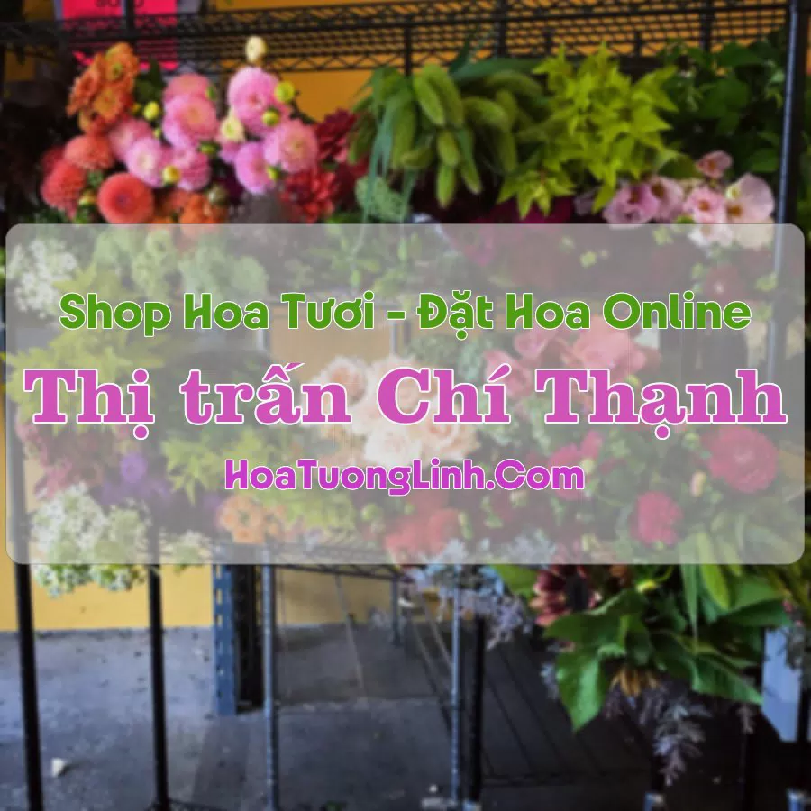 Shop Hoa Tươi Thị trấn Chí Thạnh – Phú Yên
