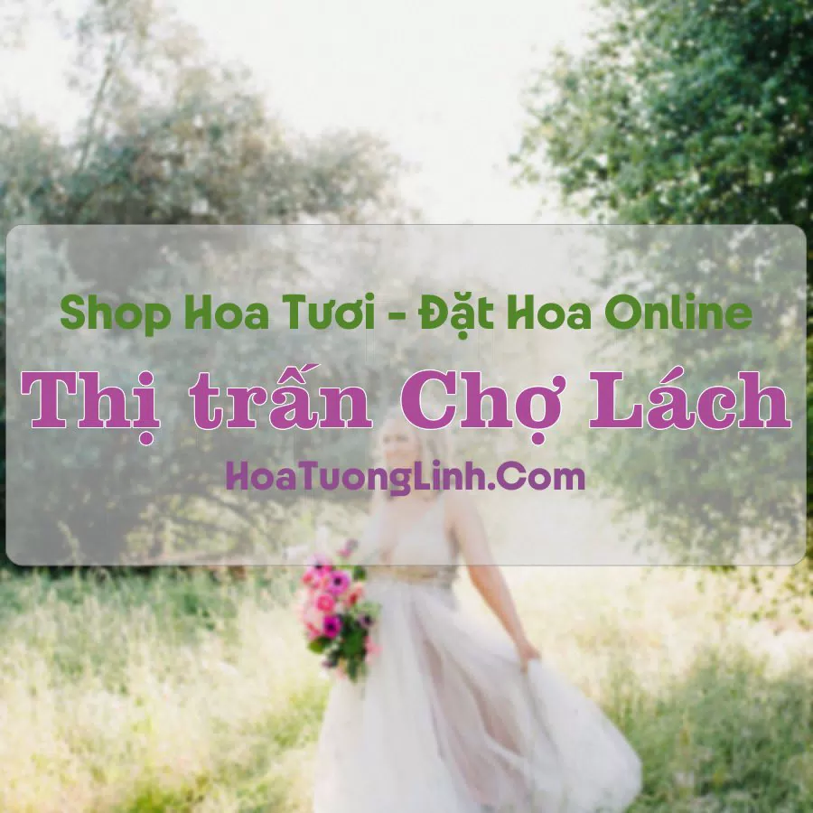 Shop Hoa Tươi Thị trấn Chợ Lách – Bến Tre