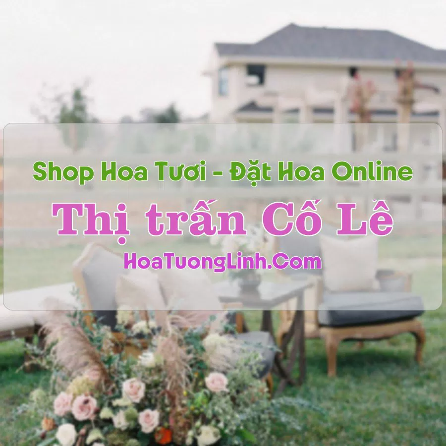 Shop Hoa Tươi Thị Trấn Cổ Lễ – Nam Định