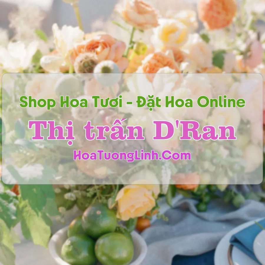 Shop Hoa Tươi Thị Trấn D'Ran – Lâm Đồng