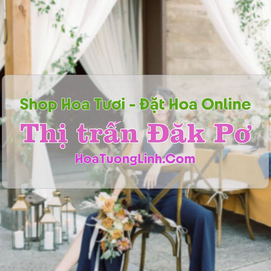 Shop Hoa Tươi Thị trấn Đăk Pơ – Gia Lai