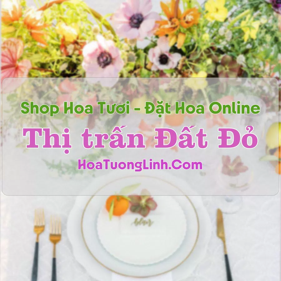 Shop Hoa Tươi Thị trấn Đất Đỏ – Bà Rịa - Vũng Tàu