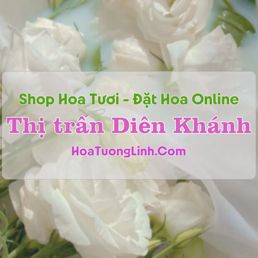 Shop Hoa Tươi Thị trấn Diên Khánh – Khánh Hòa