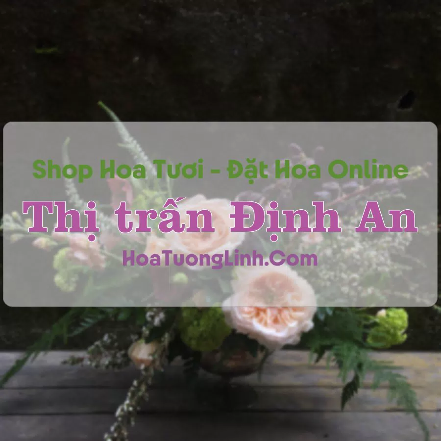 Shop Hoa Tươi Thị trấn Định An – Trà Vinh
