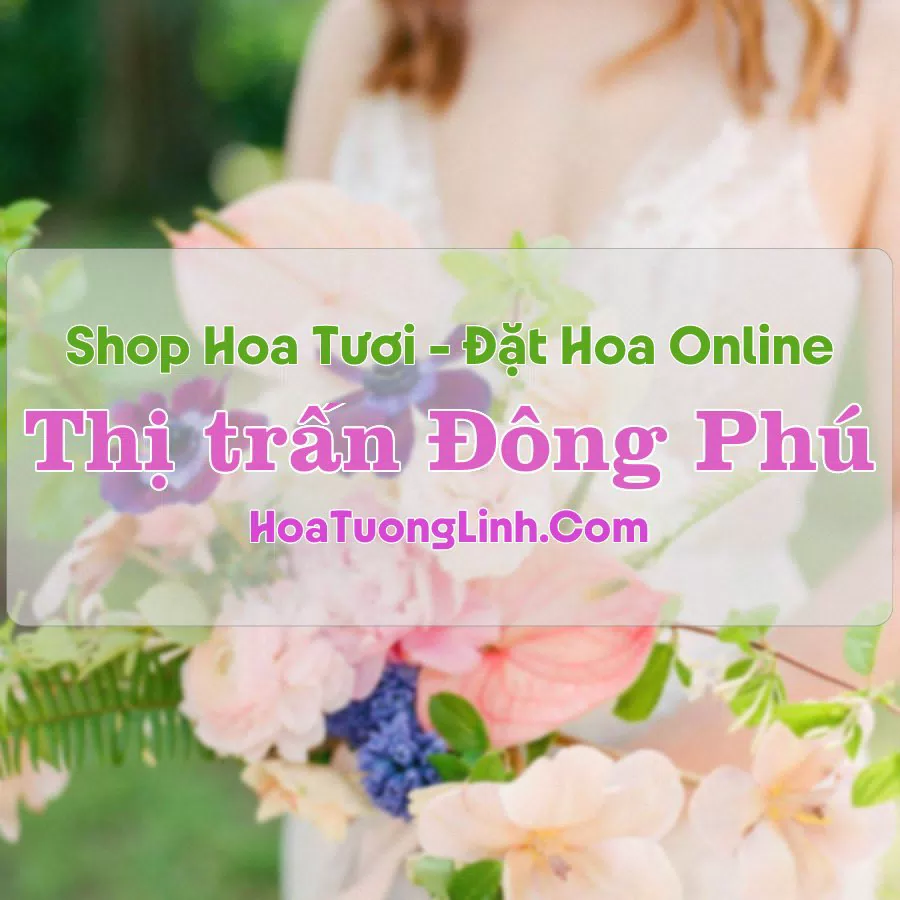 Shop Hoa Tươi Thị Trấn Đông Phú – Quảng Nam