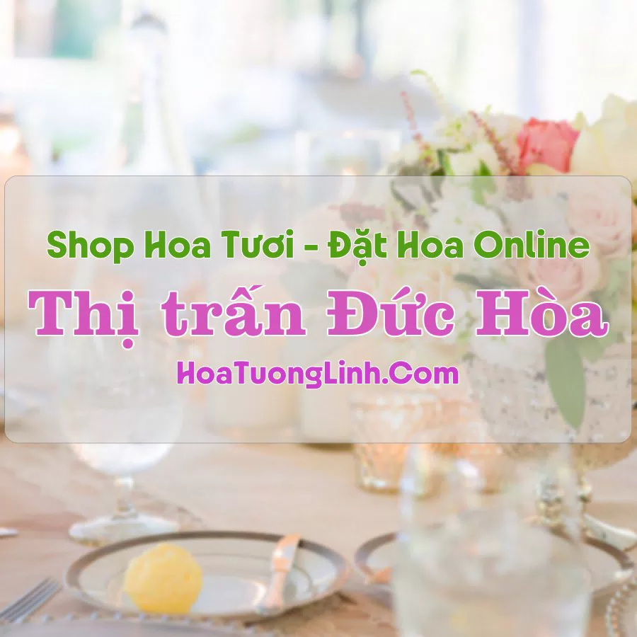 Shop Hoa Tươi Thị trấn Đức Hòa – Long An