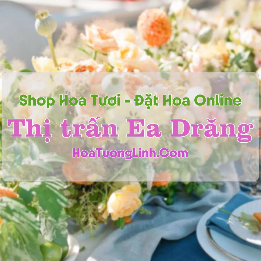Shop Hoa Tươi Thị Trấn Ea Drăng – Đắk Lắk