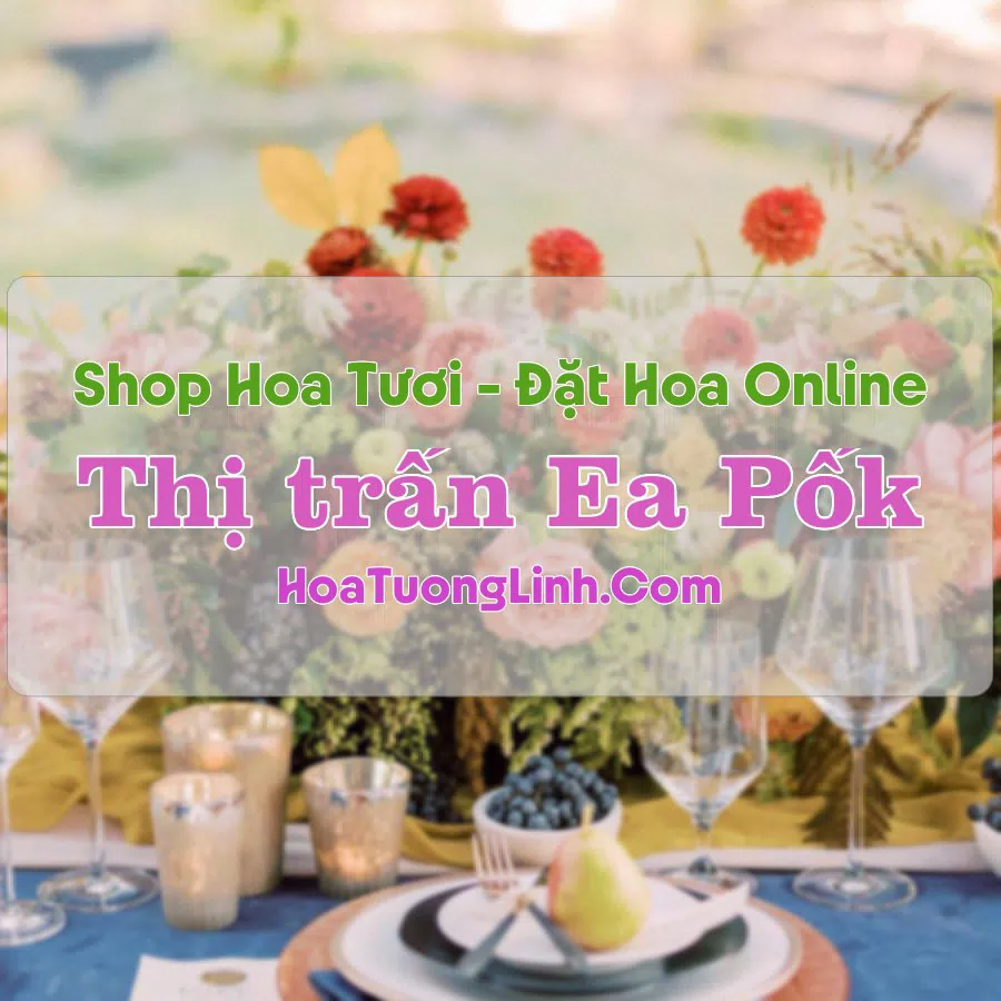 Shop Hoa Tươi Thị trấn Ea Pốk – Đắk Lắk