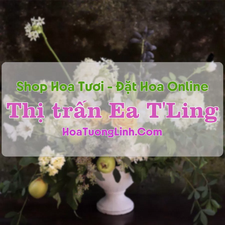Shop Hoa Tươi Thị trấn Ea T'Ling – Đắk Nông