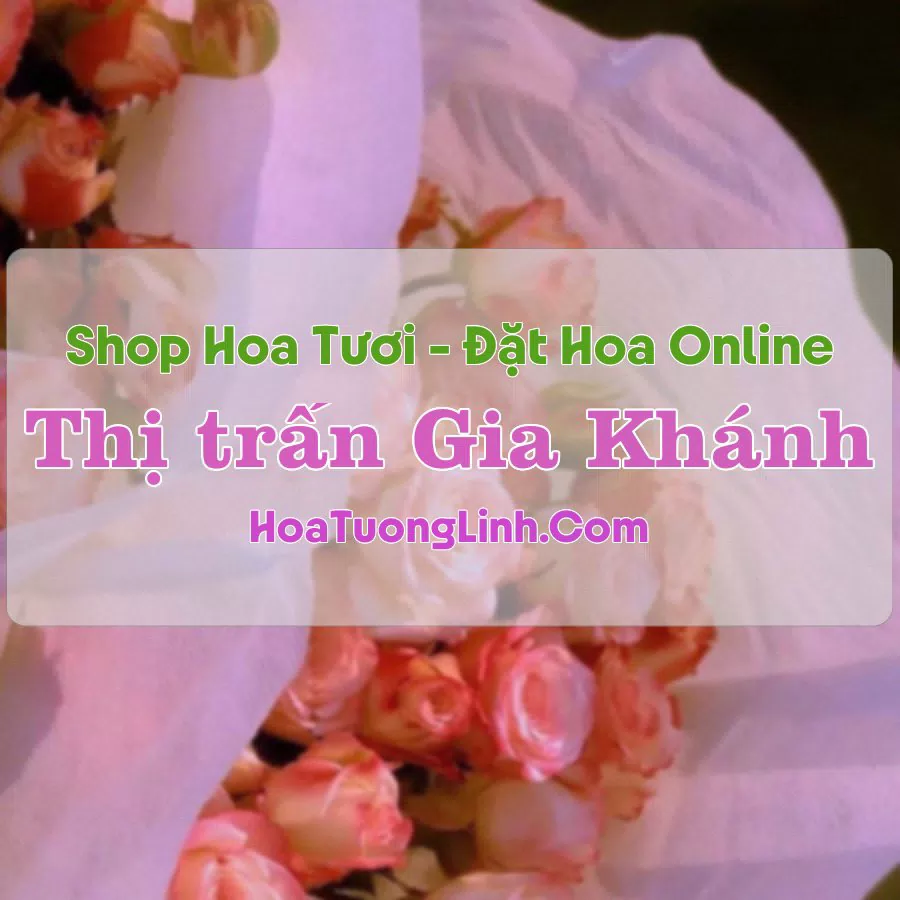 Shop Hoa Tươi Thị Trấn Gia Khánh – Vĩnh Phúc