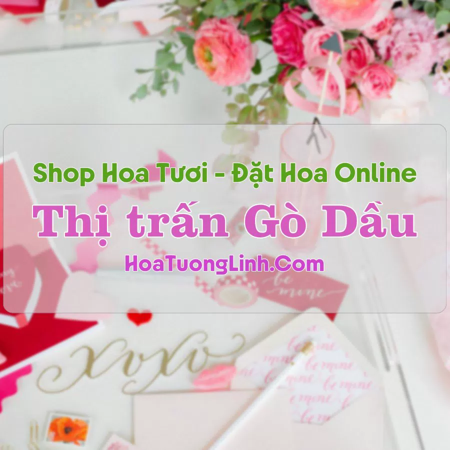 Shop Hoa Tươi Thị trấn Gò Dầu – Tây Ninh