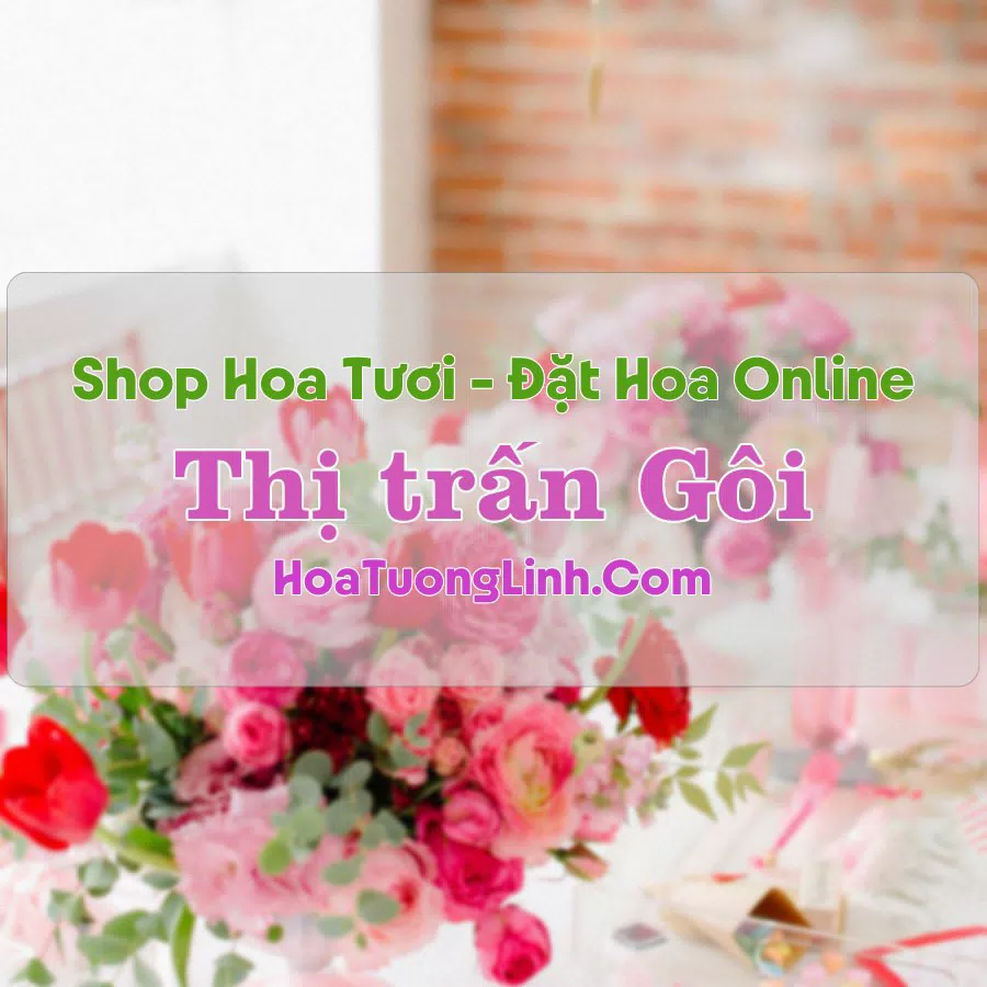 Shop Hoa Tươi TT Gôi – Nam Định