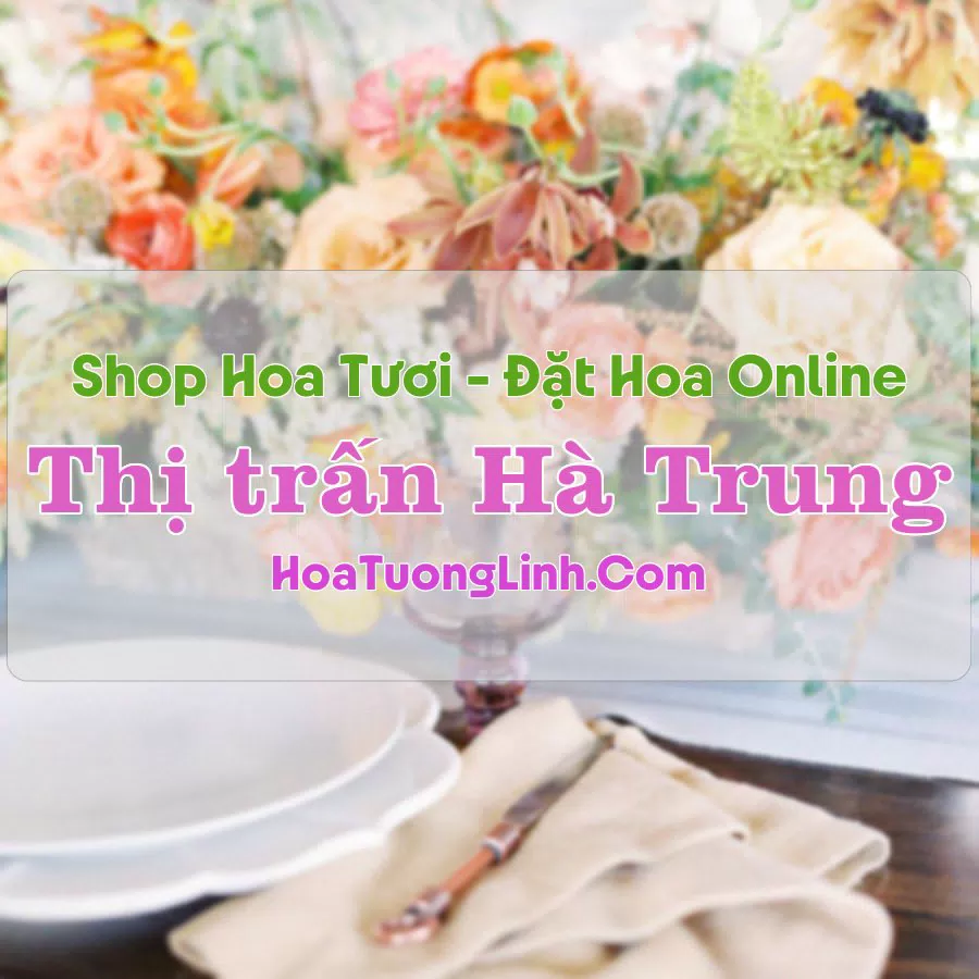 Shop Hoa Tươi Thị Trấn Hà Trung – Thanh Hóa