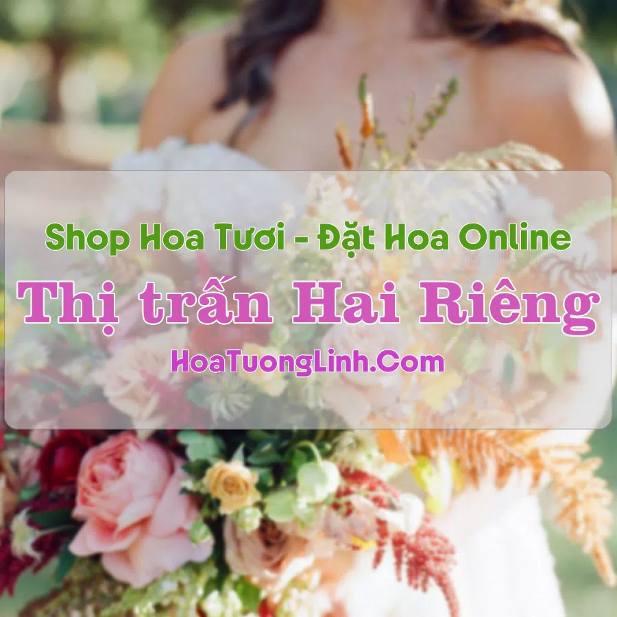 Shop Hoa Tươi Thị trấn Hai Riêng – Phú Yên