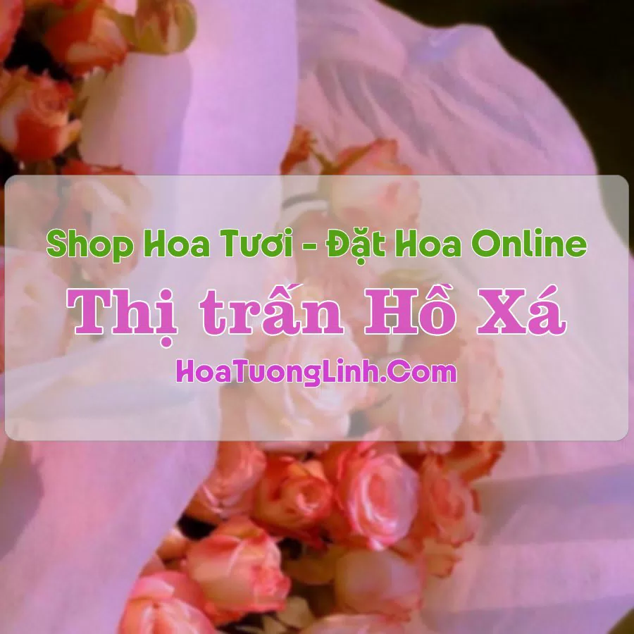 Shop Hoa Tươi Thị Trấn Hồ Xá – Quảng Trị