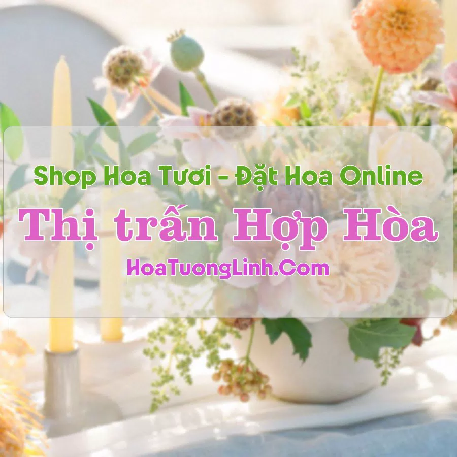 Shop Hoa Tươi Thị Trấn Hợp Hòa – Vĩnh Phúc
