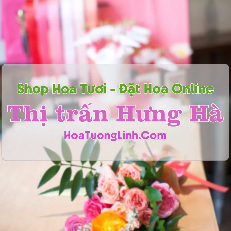 Shop Hoa Tươi Thị Trấn Hưng Hà – Thái Bình