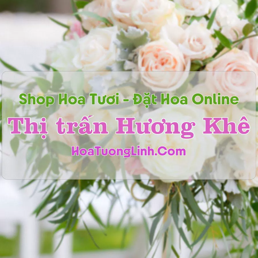 Shop Hoa Tươi Thị Trấn Hương Khê – Hà Tĩnh
