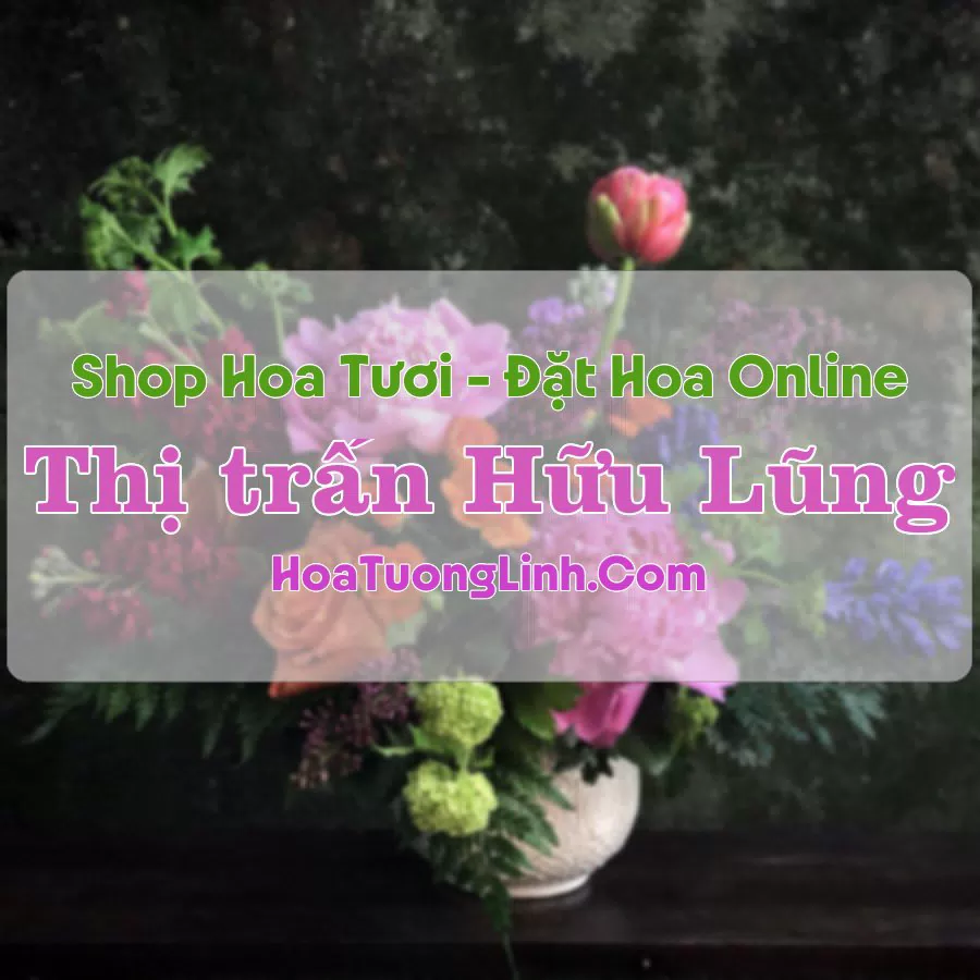 Shop Hoa Tươi Thị Trấn Hữu Lũng – Lạng Sơn