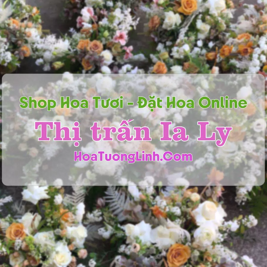 Shop Hoa Tươi Thị trấn Ia Ly – Gia Lai