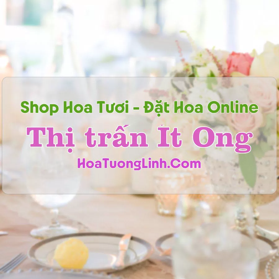 Shop Hoa Tươi Thị Trấn Ít Ong – Sơn La