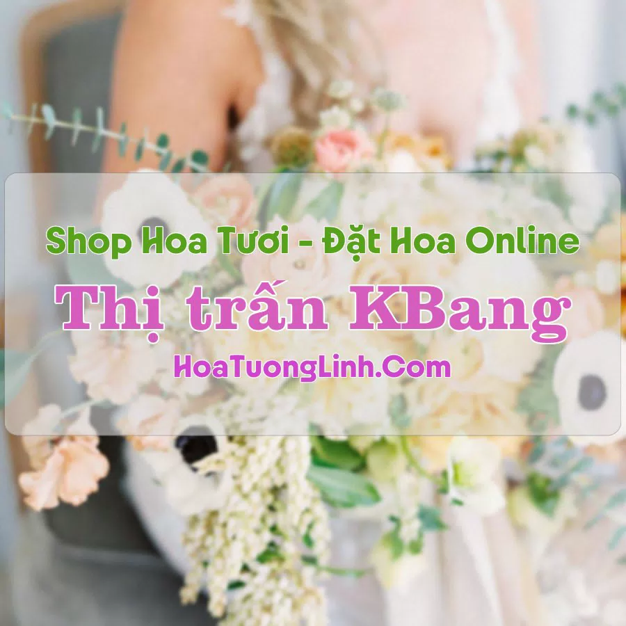 Shop Hoa Tươi Thị Trấn KBang – Gia Lai