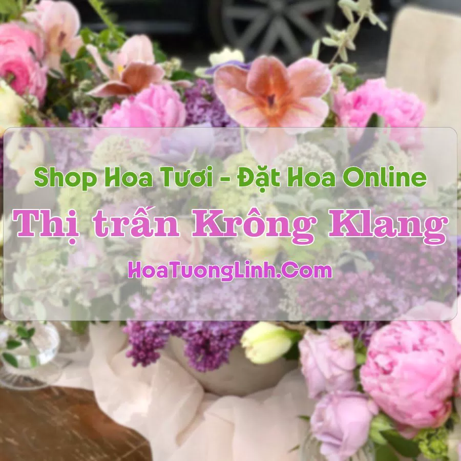 Shop Hoa Tươi Thị Trấn Krông Klang – Quảng Trị