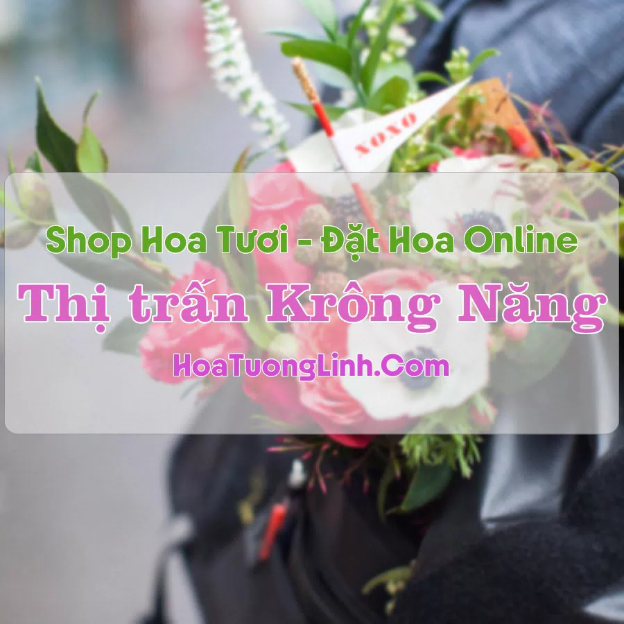 Shop Hoa Tươi Thị trấn Krông Năng – Đắk Lắk