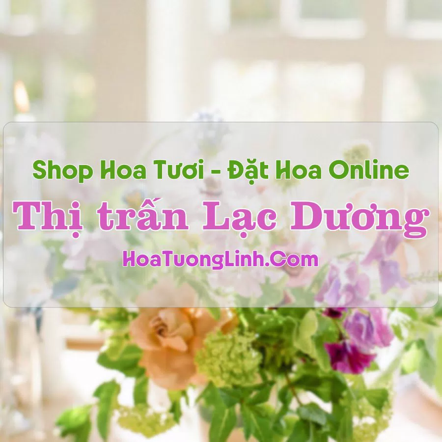 Shop Hoa Tươi Thị Trấn Lạc Dương – Lâm Đồng