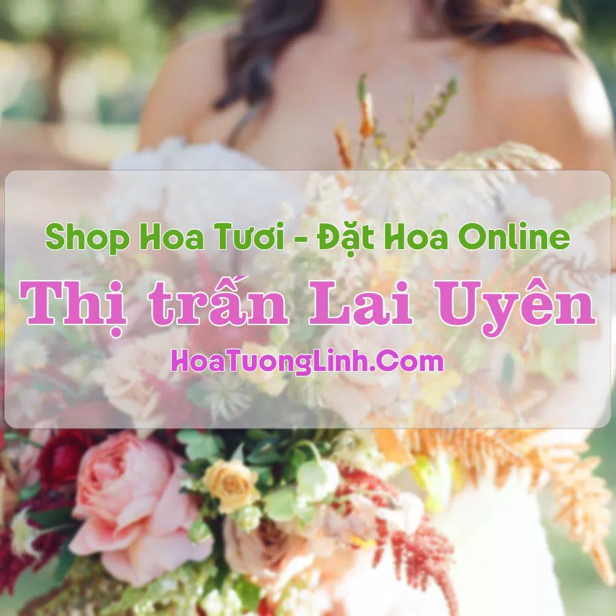 Shop Hoa Tươi Thị trấn Lai Uyên – Bình Dương