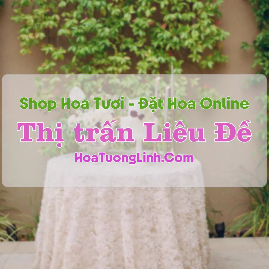 Shop Hoa Tươi TT Liễu Đề – Nam Định