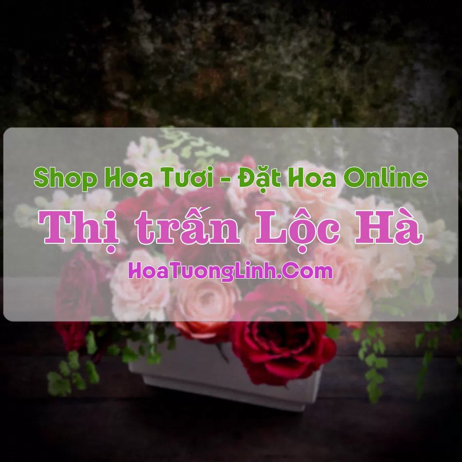 Shop Hoa Tươi Thị trấn Lộc Hà – Hà Tĩnh
