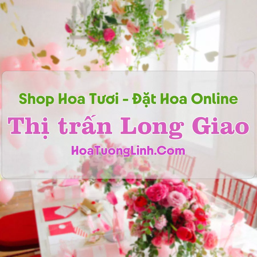 Shop Hoa Tươi Thị Trấn Long Giao – Đồng Nai