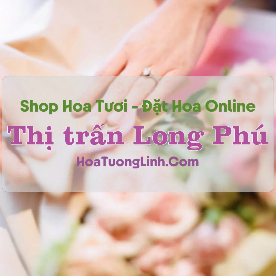 Shop Hoa Tươi Thị Trấn Long Phú – Sóc Trăng