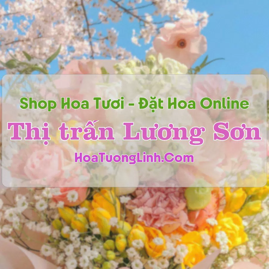 Shop Hoa Tươi Thị trấn Lương Sơn – Bình Thuận