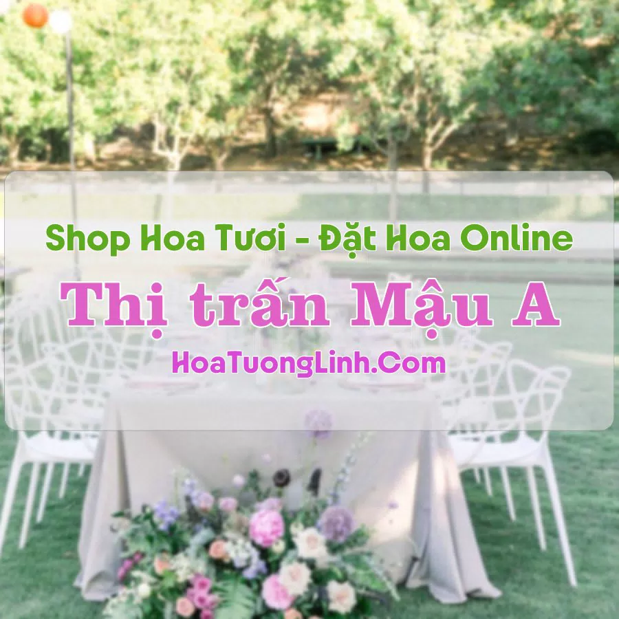 Shop Hoa Tươi Thị Trấn Mậu A – Yên Bái
