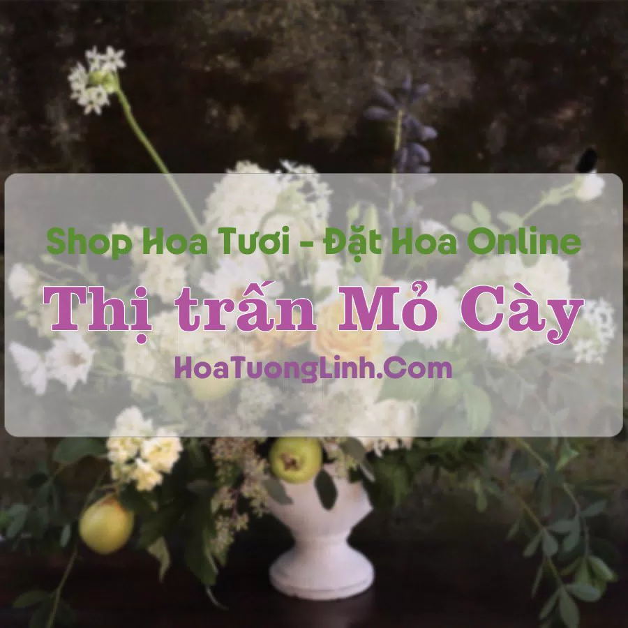 Shop Hoa Tươi Thị trấn Mỏ Cày – Bến Tre