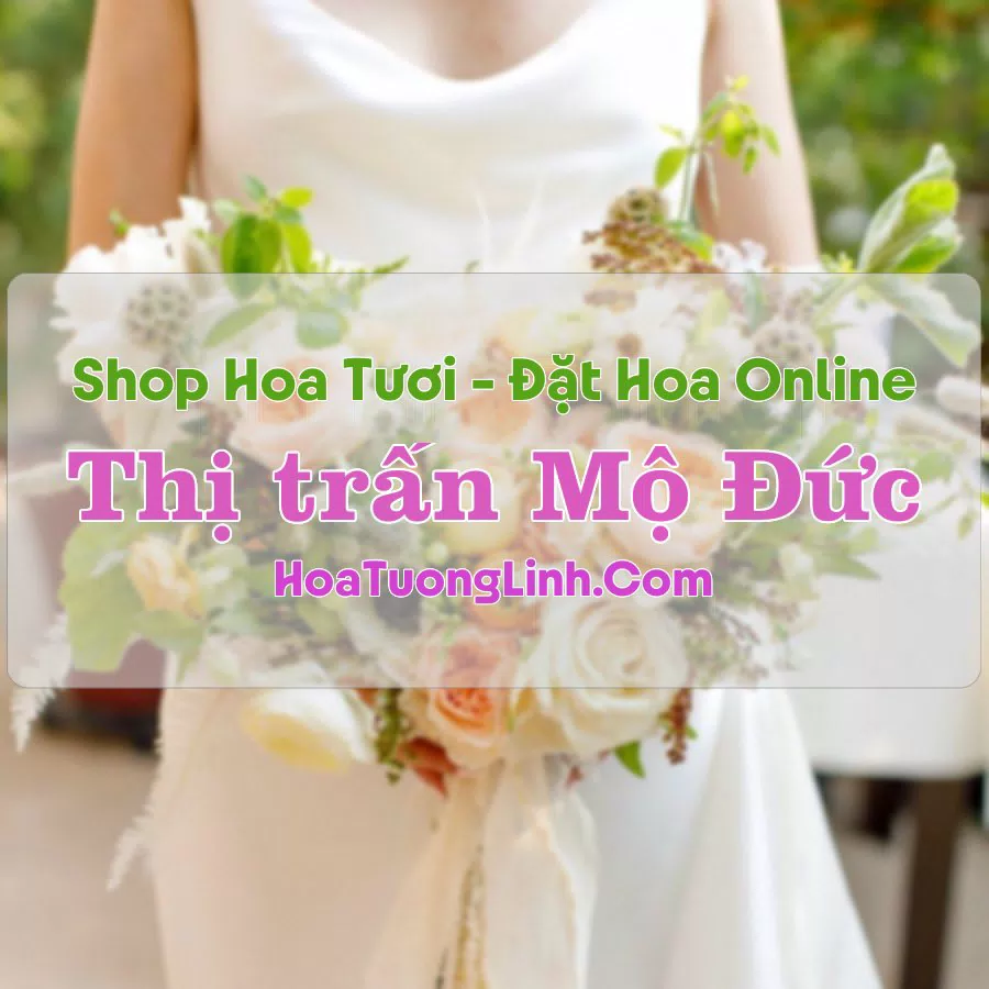Shop Hoa Tươi Thị Trấn Mộ Đức – Quảng Ngãi