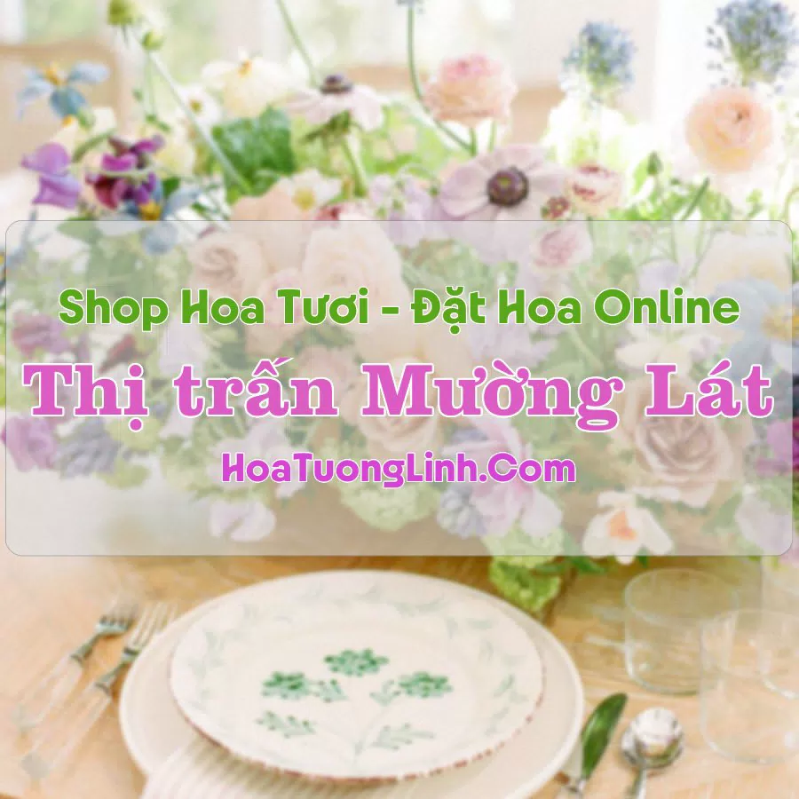 Shop Hoa Tươi Thị Trấn Mường Lát – Thanh Hóa
