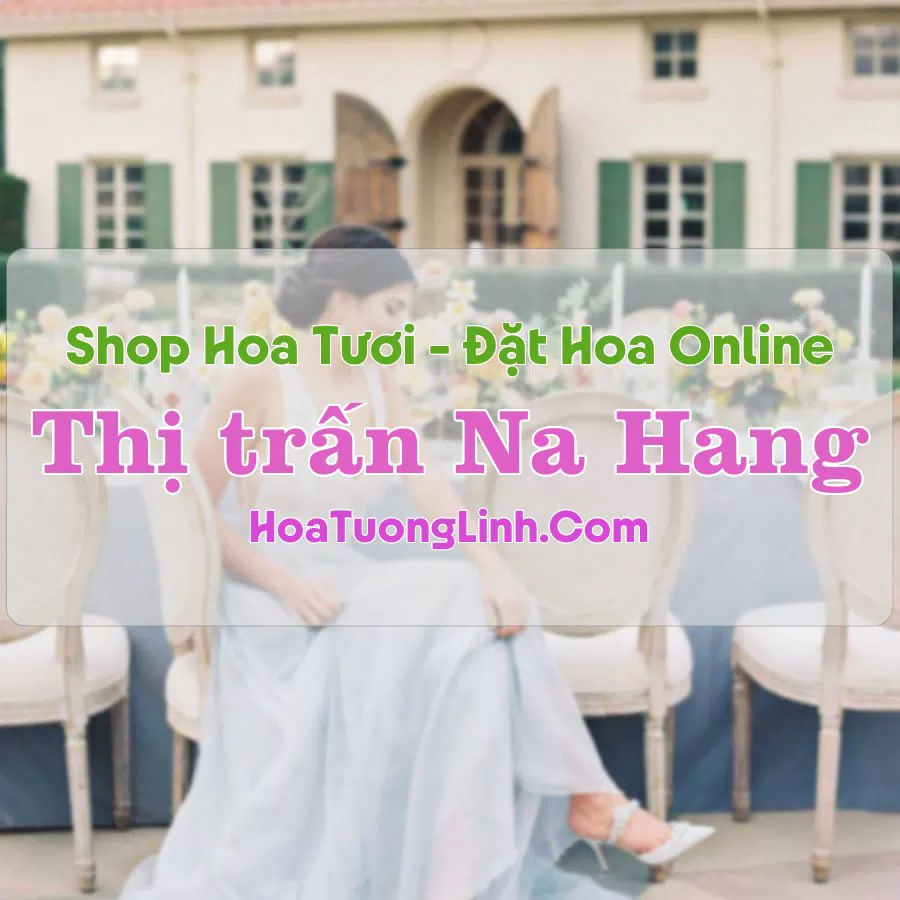 Shop Hoa Tươi Thị trấn Na Hang – Tuyên Quang
