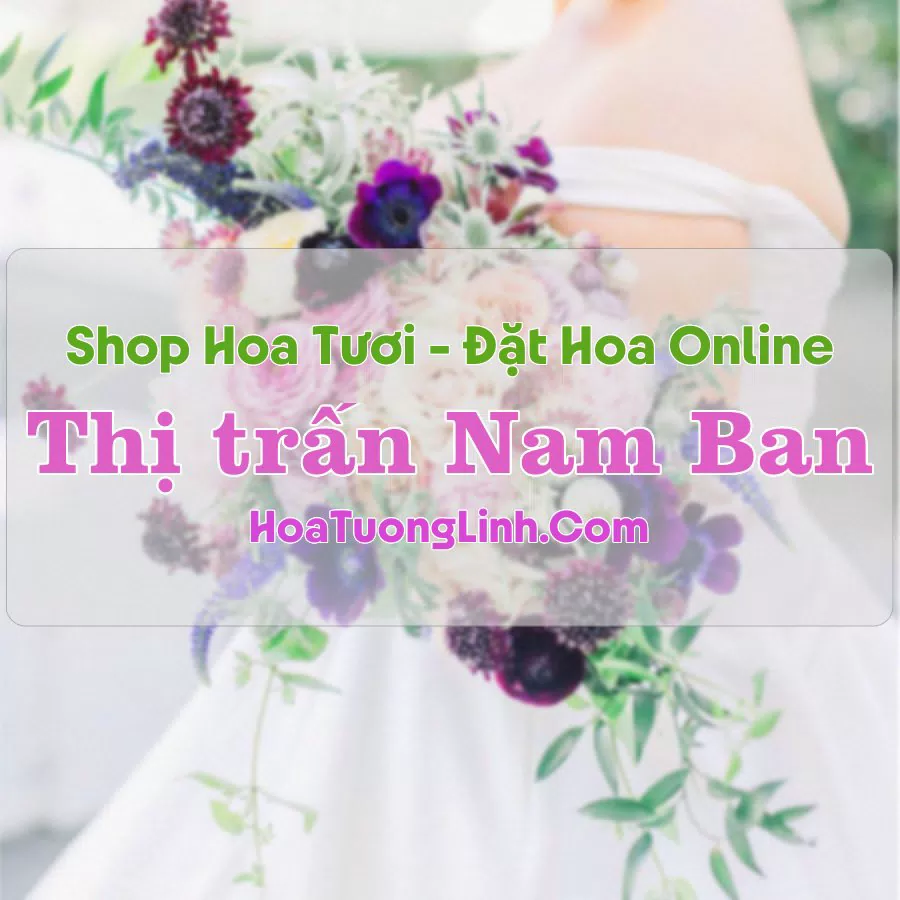 Shop Hoa Tươi Thị Trấn Nam Ban – Lâm Đồng