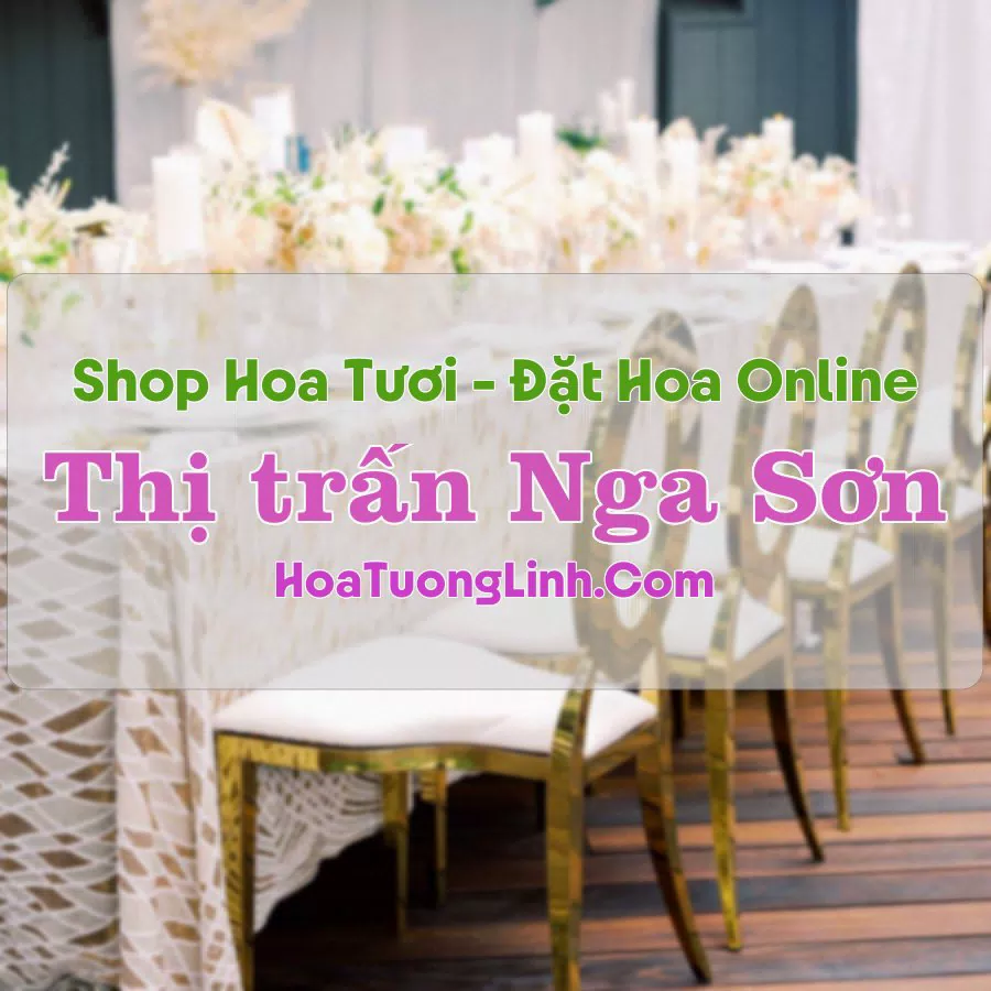 Shop Hoa Tươi Thị Trấn Nga Sơn – Thanh Hóa