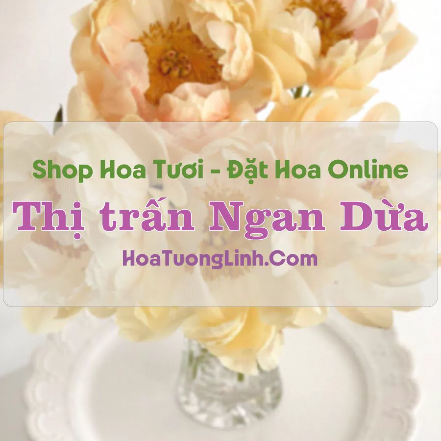 Shop Hoa Tươi Thị Trấn Ngan Dừa – Bạc Liêu