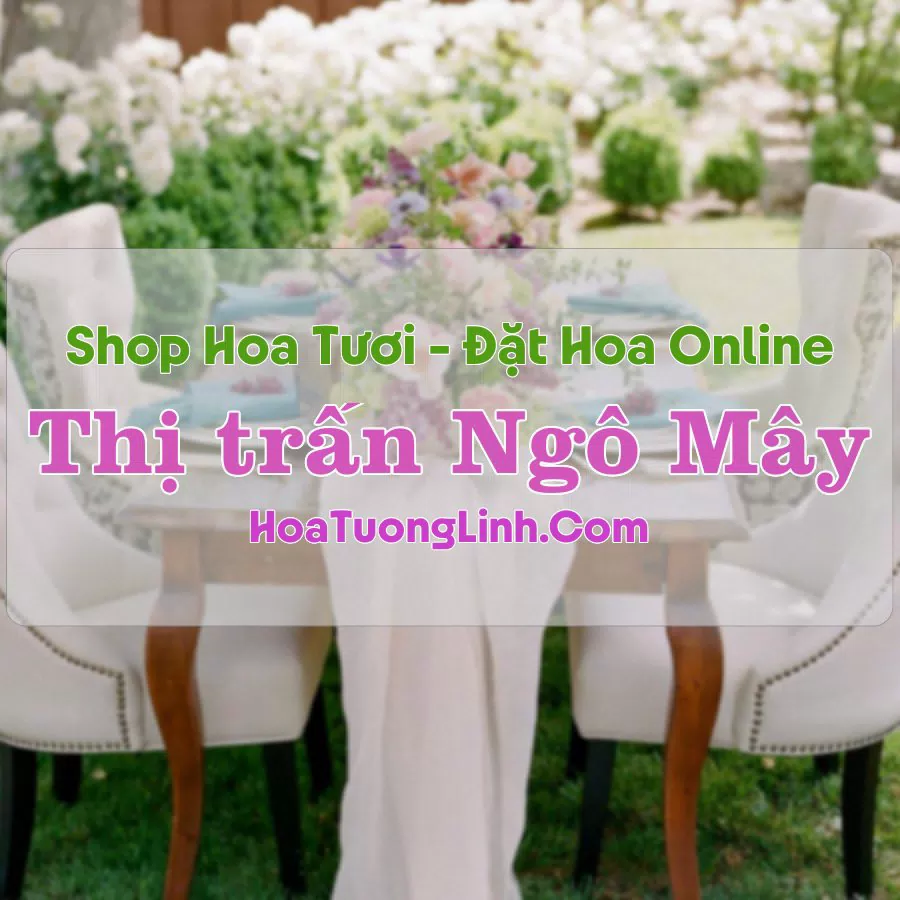 Shop Hoa Tươi Thị trấn Ngô Mây – Bình Định