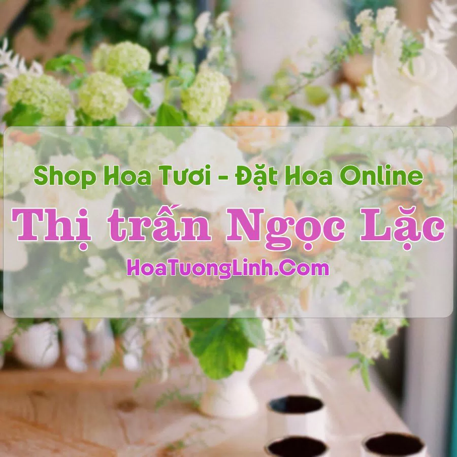 Shop Hoa Tươi Thị Trấn Ngọc Lặc – Thanh Hóa