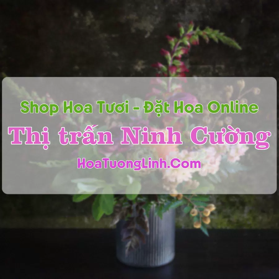 Shop Hoa Tươi Thị Trấn Ninh Cường – Nam Định