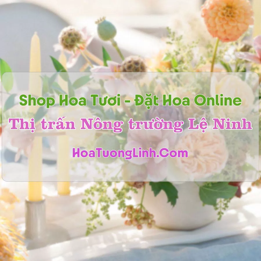 Shop Hoa Tươi Thị Trấn Nông Trường Lệ Ninh – Quảng Bình